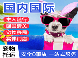 杭州机场快运国际宠物托运 【国